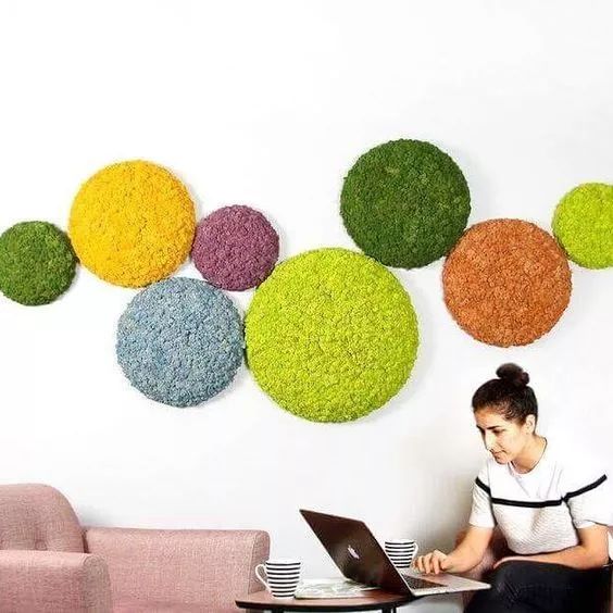 可以挂墙的绿植,适合做墙的绿植