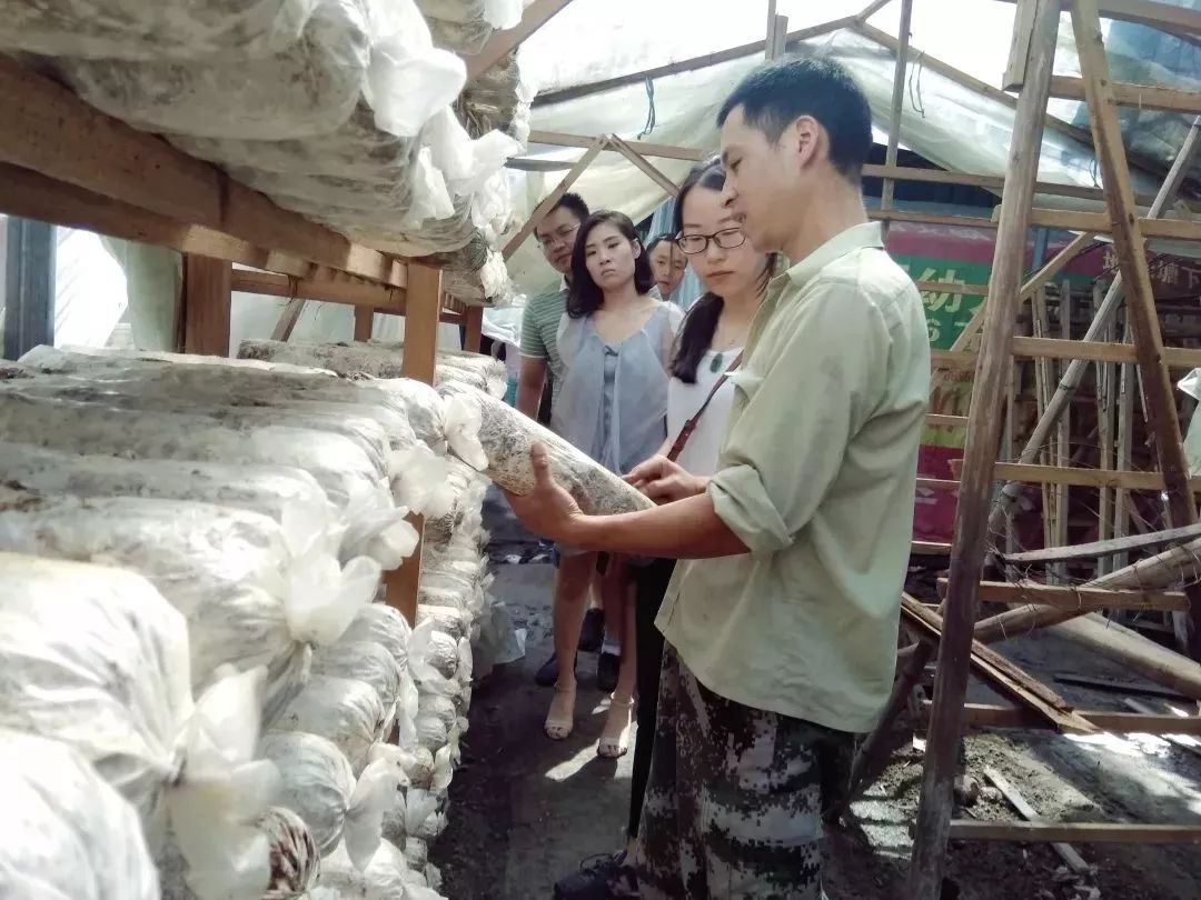 看过来！带你走一走将乐的这些返乡青年创业基地~｜新时代新作为新篇章