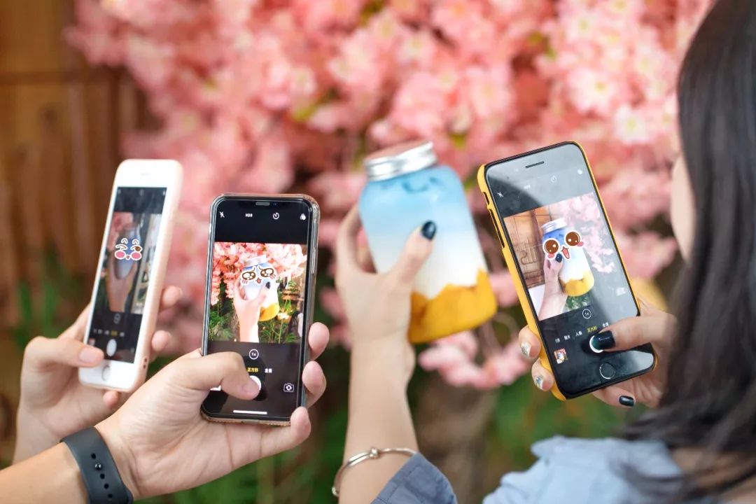 全城通缉抹茶控！来自京都の它霸气轰炸和平大悦城！被绿了也心甘