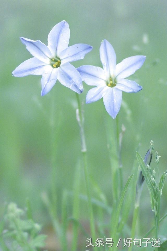 心灵鸡汤个性签名唯美,心灵鸡汤语录音频句句戳心