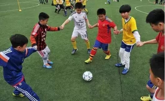 邢台学校特色教育有哪些,邢台优秀小学排行