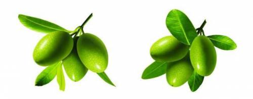 美国高脂肪食物,美国营养食谱一览表