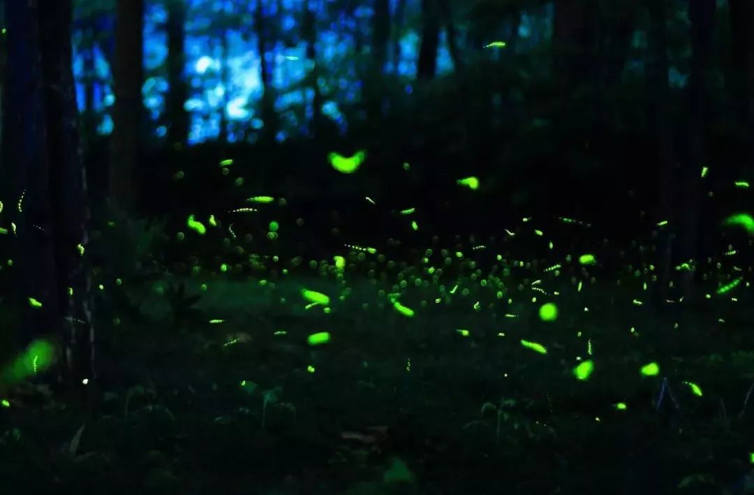 德阳周边玩水避暑民宿,德阳附近哪里有凉快又好玩的地方