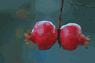 酸酸甜甜就是我原创是英文歌曲吗,酸酸甜甜就是我清唱女