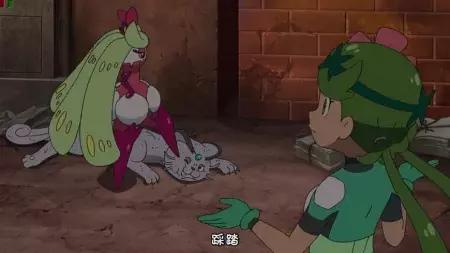 小智的木木枭最终进化了,小智的木木枭最后进化了吗