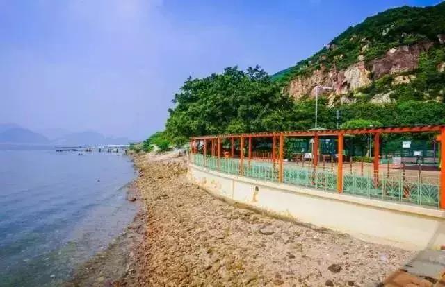 下月中旬可去青岛旅游吗,青岛怎么去香港自由行