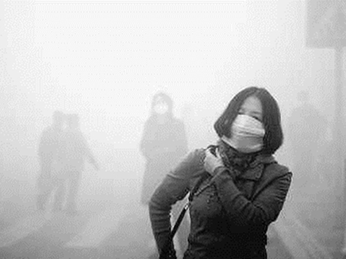 铲屎官自己在家给狗狗打疫苗,铲屎官给狗狗打针