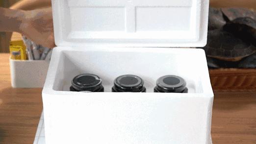 顺德正宗龟苓膏的做法视频,佛山正宗龟苓膏