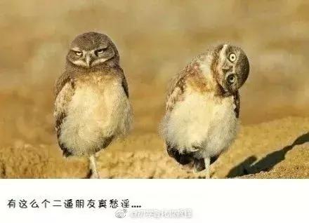 纳粹集中营1945,1945年德国集中营