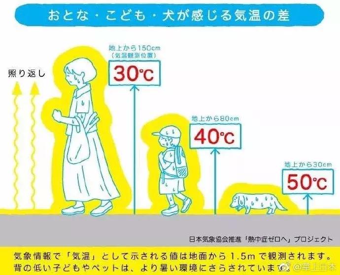 纳粹集中营1945,1945年德国集中营