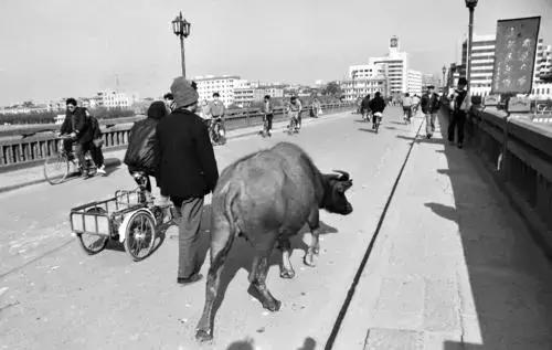 浙江金华比较出名的桥,金华市从古至今的民间故事