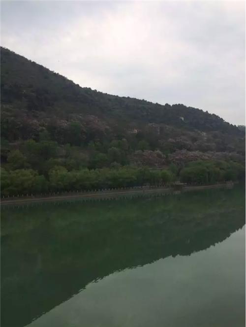 萧何月下追韩信张良,萧何月下追韩信张良唱段