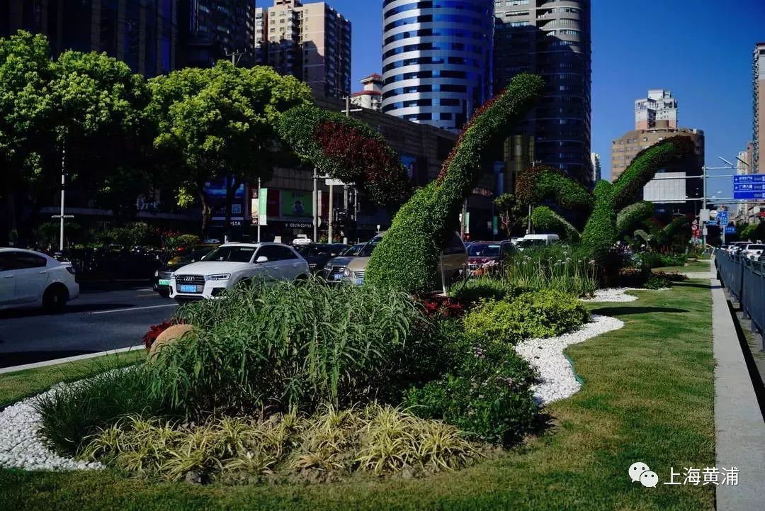 臭水浜变成了林荫道,《从臭水浜到林荫道》小学课文