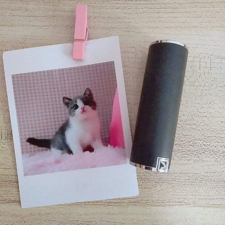 我的爱用好物分享推荐,我的爱用物分享介绍