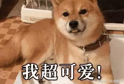 夏季最好用性价比最高的水乳套盒,十款平价又好用的水乳套装