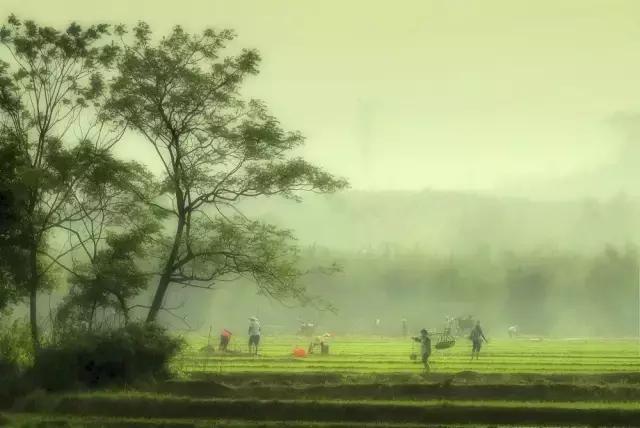 山歌文化传统音乐,山歌贵州纯音乐