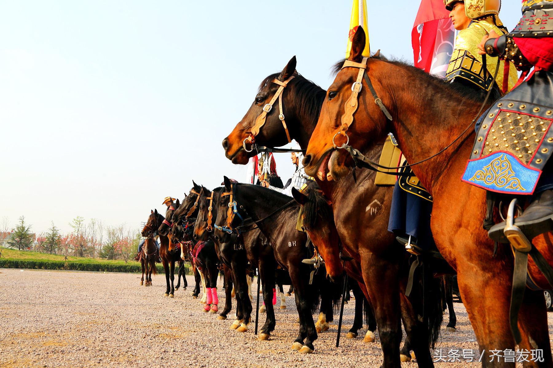 青岛马术,青岛竞技体育史话之2