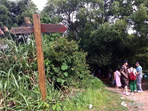 鹿西岛景区图,鹿西岛旅游攻略礁石拍照