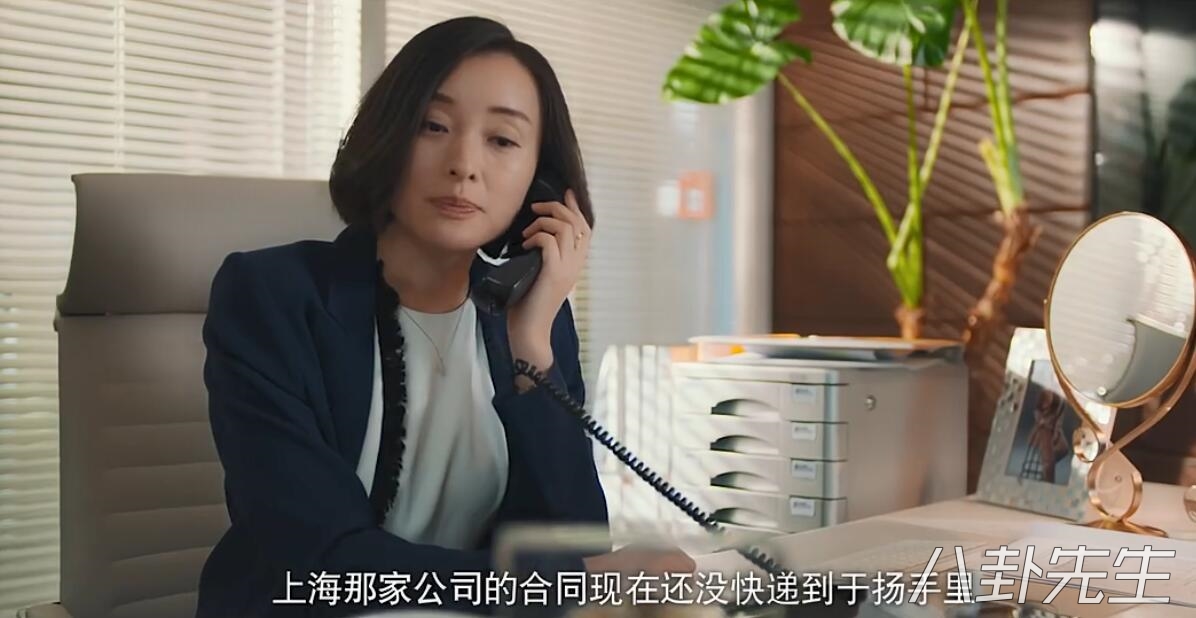 延禧攻略的细节,延禧攻略背后制作