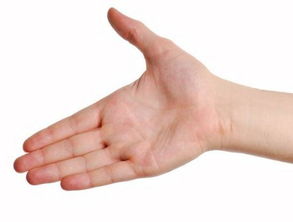 面相与手相——挺准，你觉得怎么样？