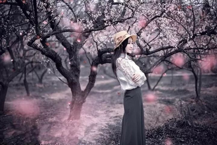 回眸一笑百媚生电视剧,回眸一笑百媚生小说