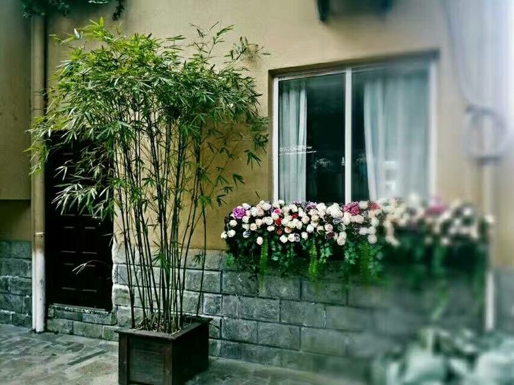 怎样打造爆款民宿,民宿怎么打造网红