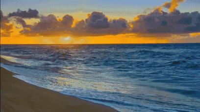 踏浪看海享受阳光沙滩,踏浪大连看海