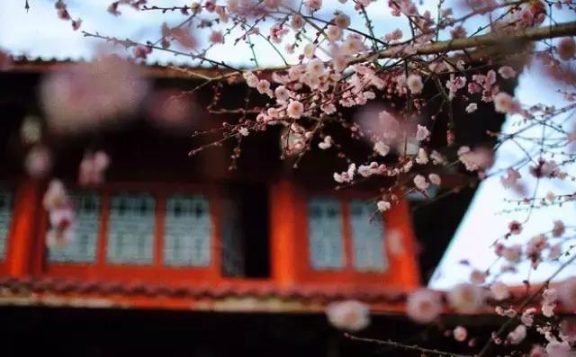 人有七情六欲哪七情和六欲,七情六欲