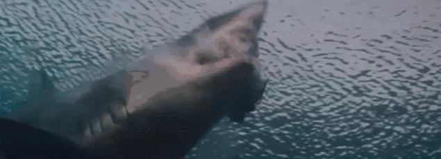 很久没看到这么好看的鲨鱼片了,巨齿鲨在三亚吃饺子宴太有创意了