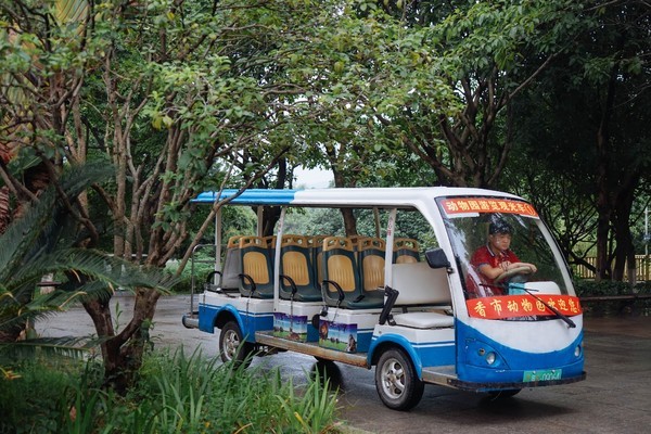 这是一条有气味的街,宝贝如云,还是莞香的起源地