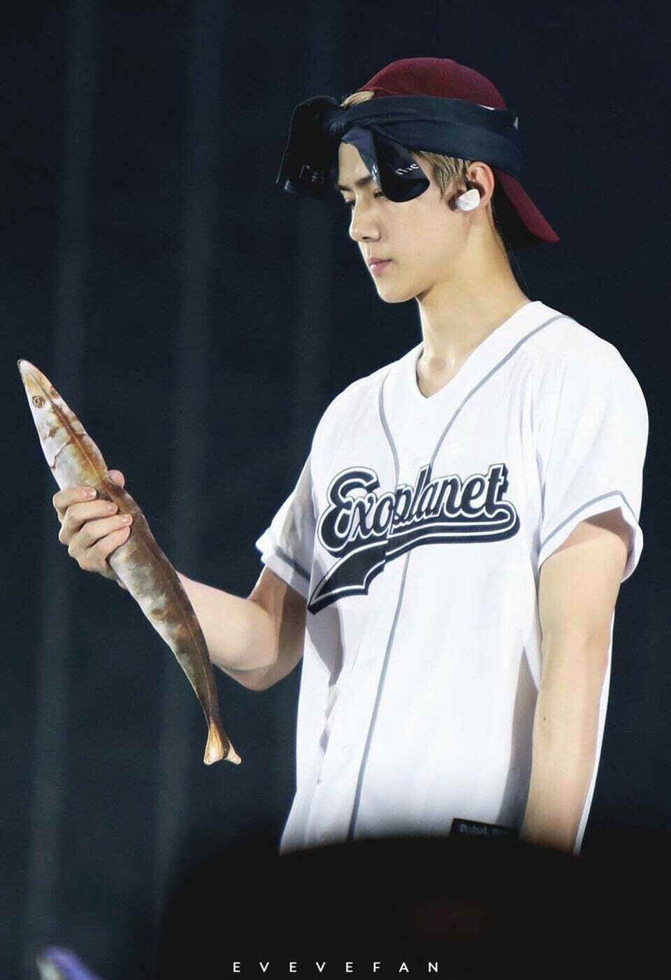 exo分享的视频,exo新闻180812