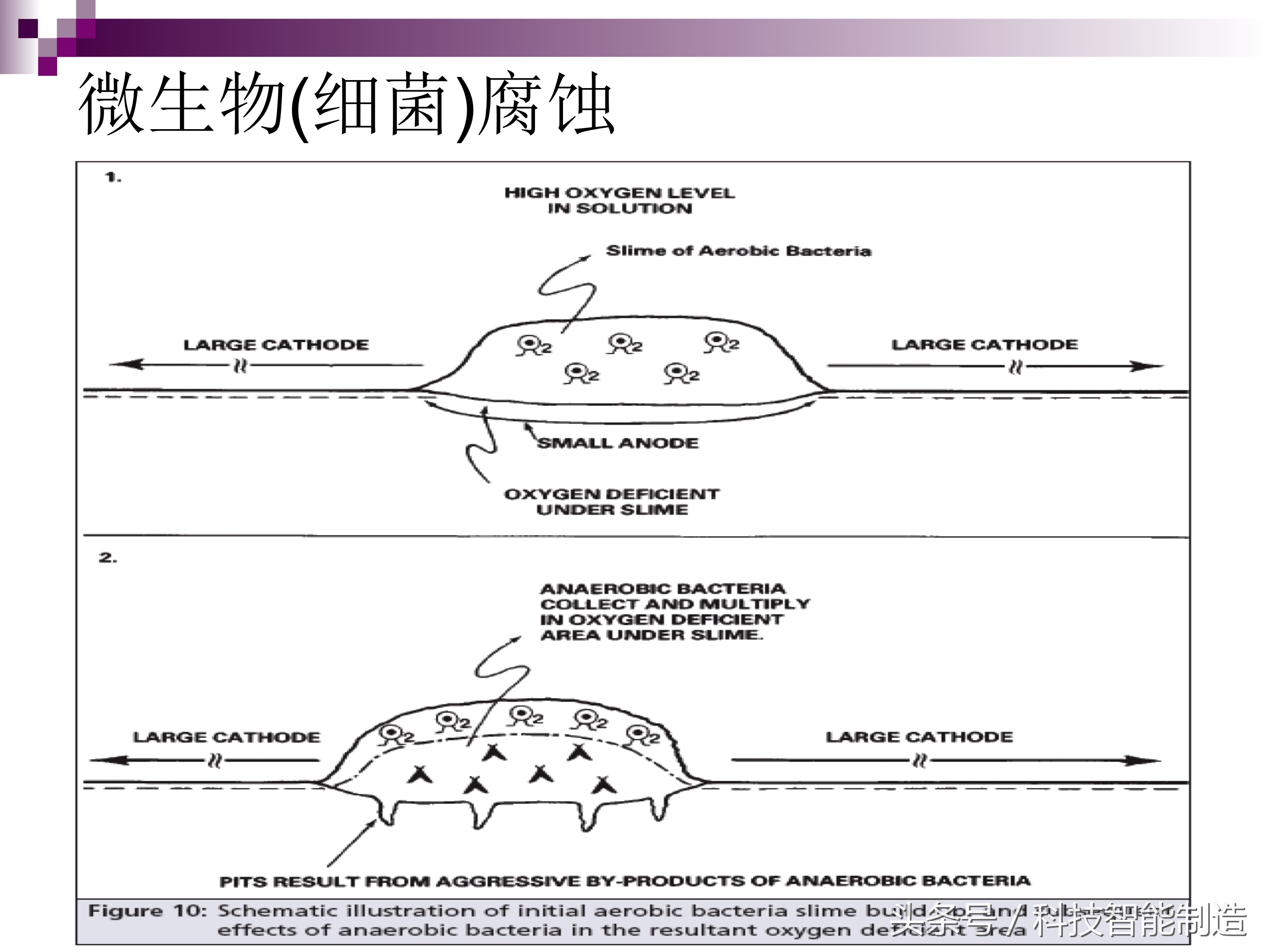 不锈钢腐蚀机理及防腐措施,影响不锈钢的腐蚀主要有哪些因素