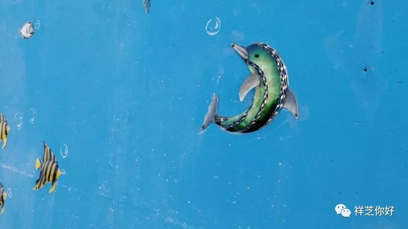 石狮祥芝涂鸦,石狮祥芝网红打卡视频