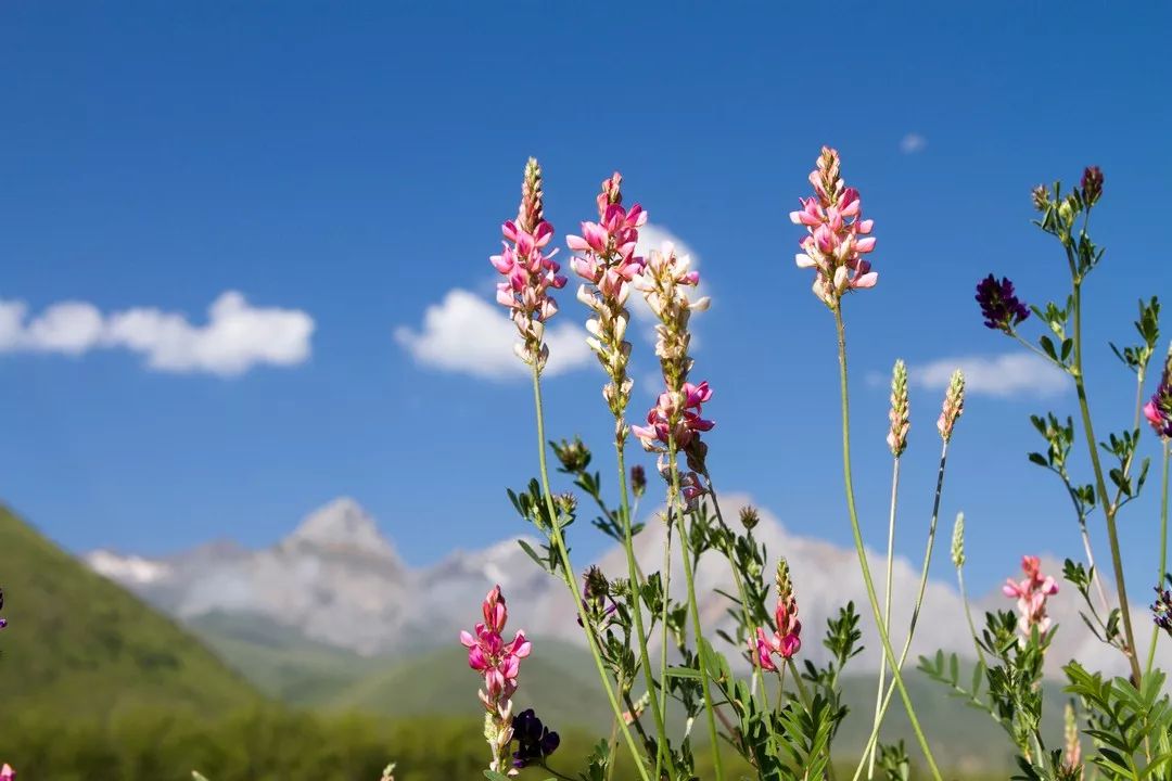 属于你的永远都在深度好文,从一无所有到现在的心酸短句