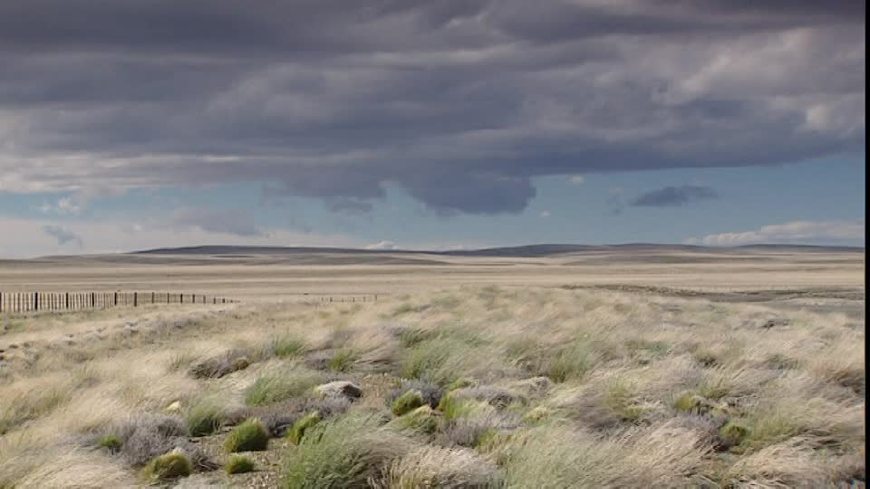 世界四大草原哪里好玩,世界四大草原呼伦贝尔大草原