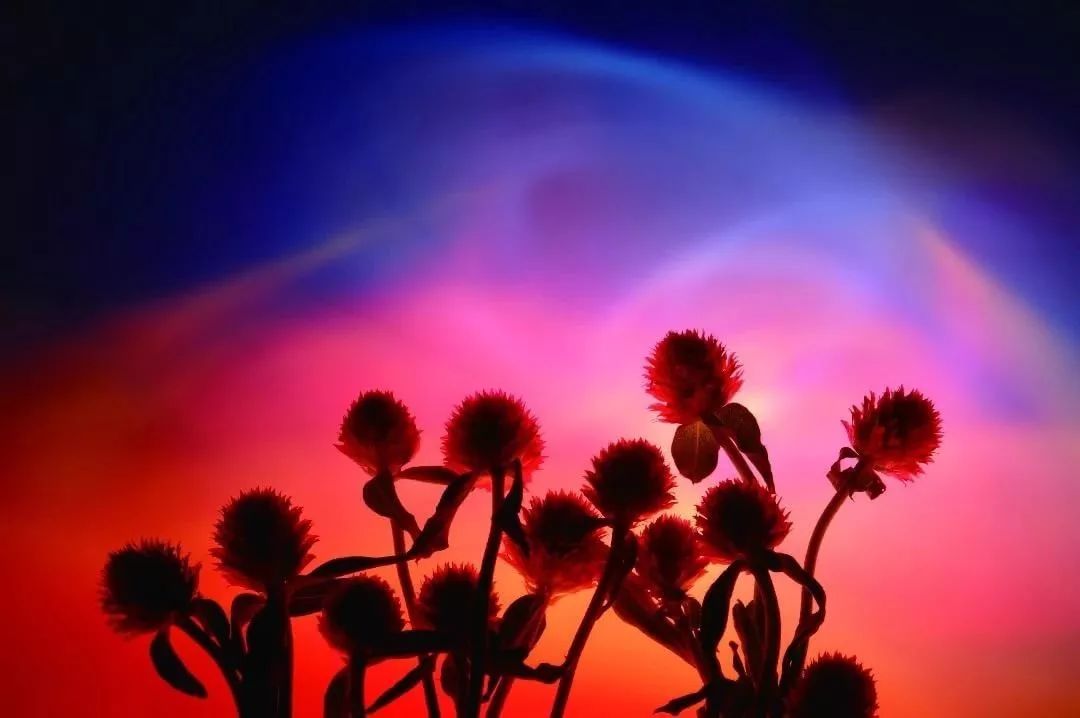 90岁日本老奶奶，酗酒飙车碰瓷却爆红网络丨小麦养老