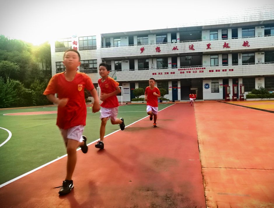 诗和远方还有田野和家乡,诗和远方也有人间日常