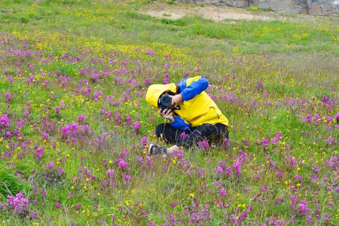 秒杀若尔盖！川西有个官方认定的最美草原，景美人少不收门票！