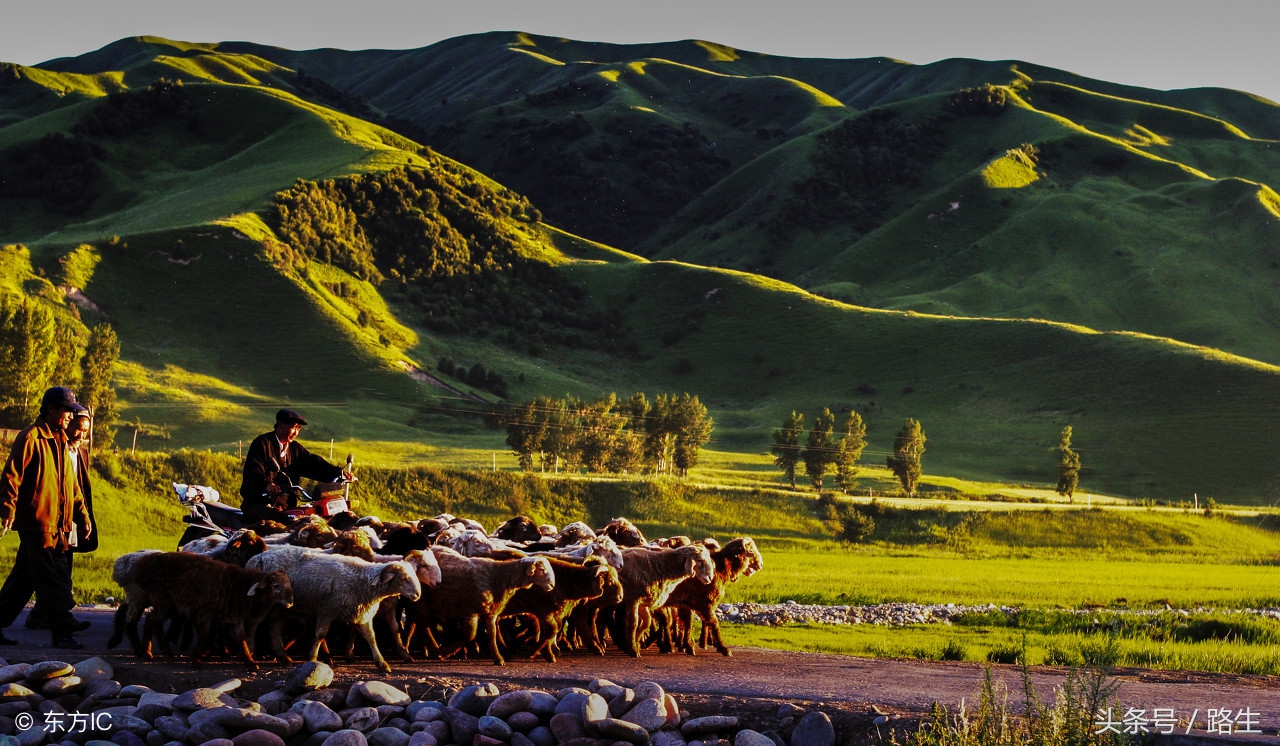 *疆新**此县是全国面积第二大县,汉代曾分属两个风俗完全不同的小国