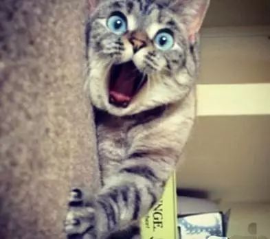 鎱堟邯鐕冩皵缂磋垂,鎱堟邯姘寸數鐕冩皵鏀惰垂鏍囧噯