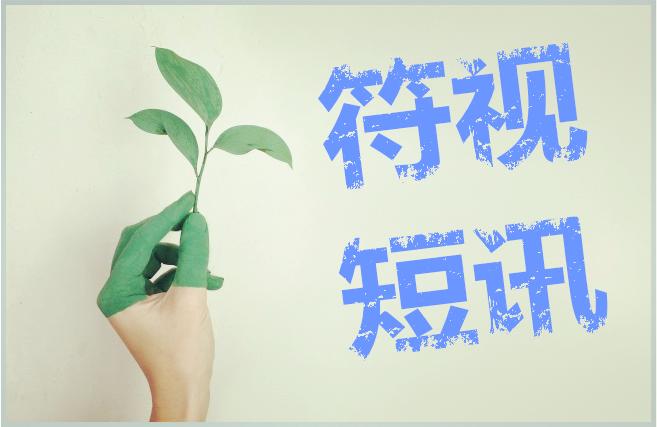 符视传媒2019年,符视传媒最近新消息