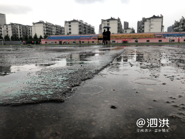 启程队喜提冠军！泗洪县第二十九届“男子汉杯”足球赛完美落幕