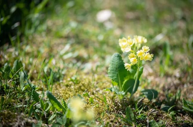 当你一无所有的时候怎么办,当你一无所有的时候谁会帮你