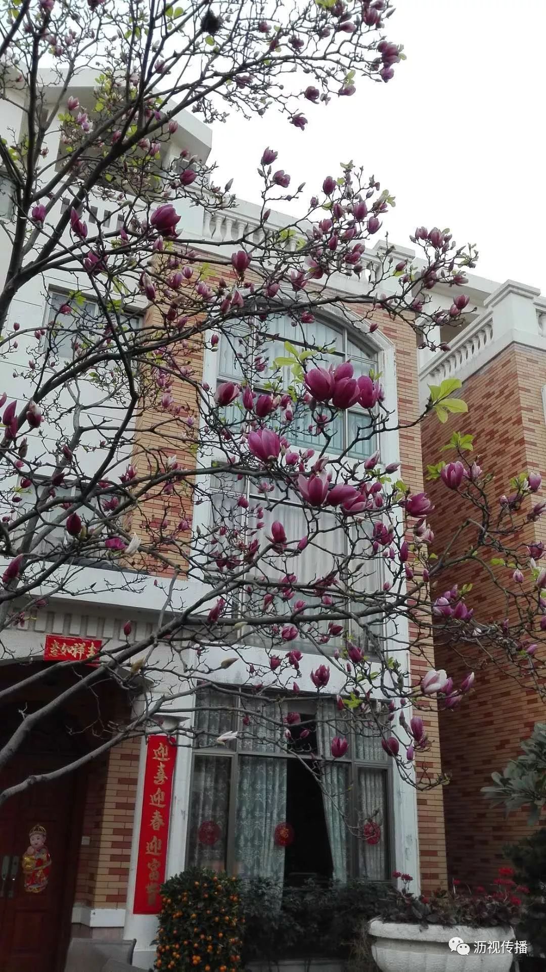 最美庭院评选,寻找最漂亮的花园小院