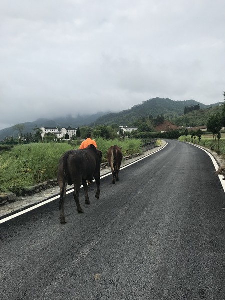 云深不知处格局,黄山风水奇穴