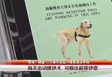 违反香港出入境携带物品将被重罚,入境香港被抓罚款