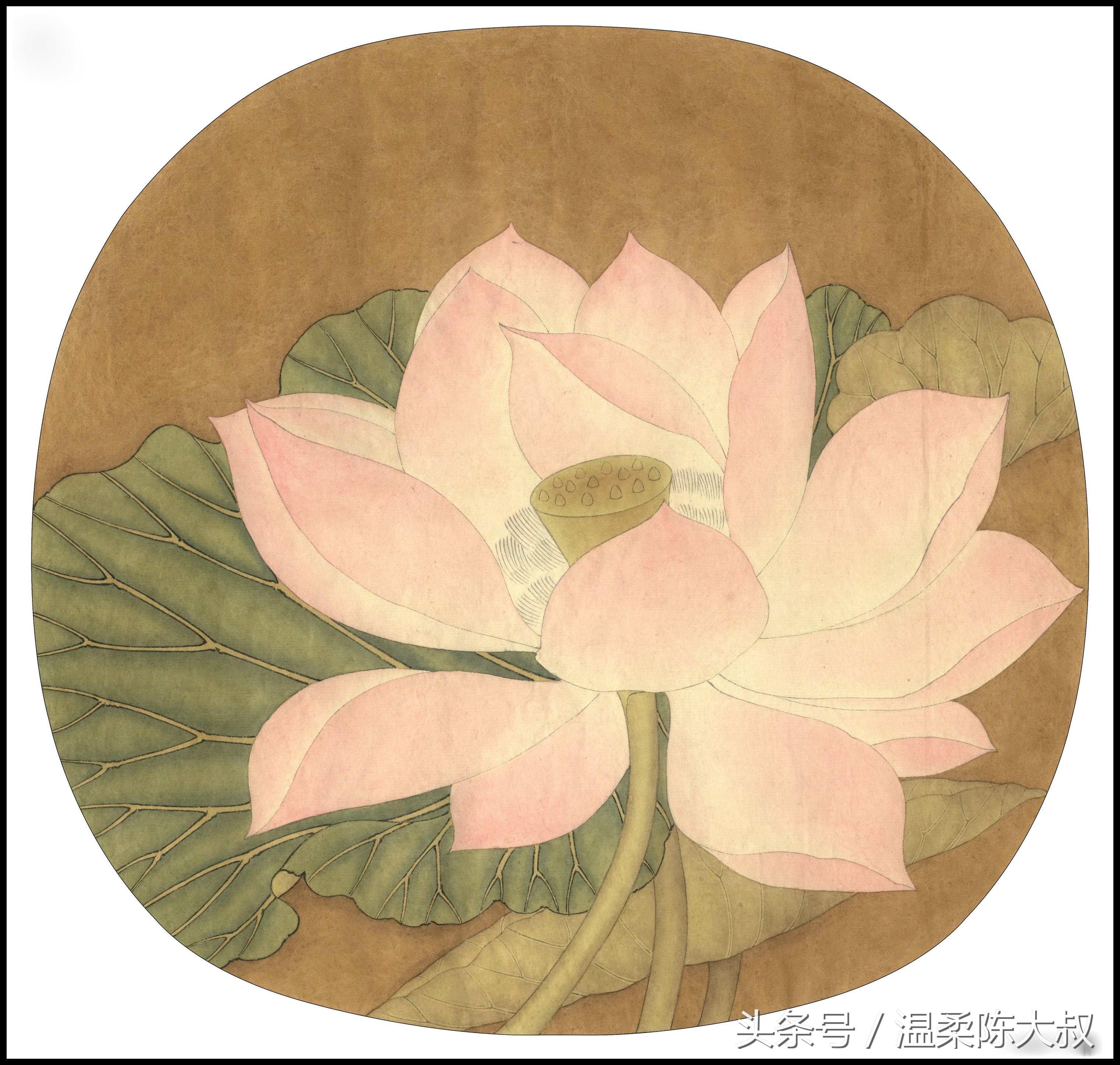 宋画出水芙蓉工笔画作画步骤,出水芙蓉图片大全大图工笔花鸟画