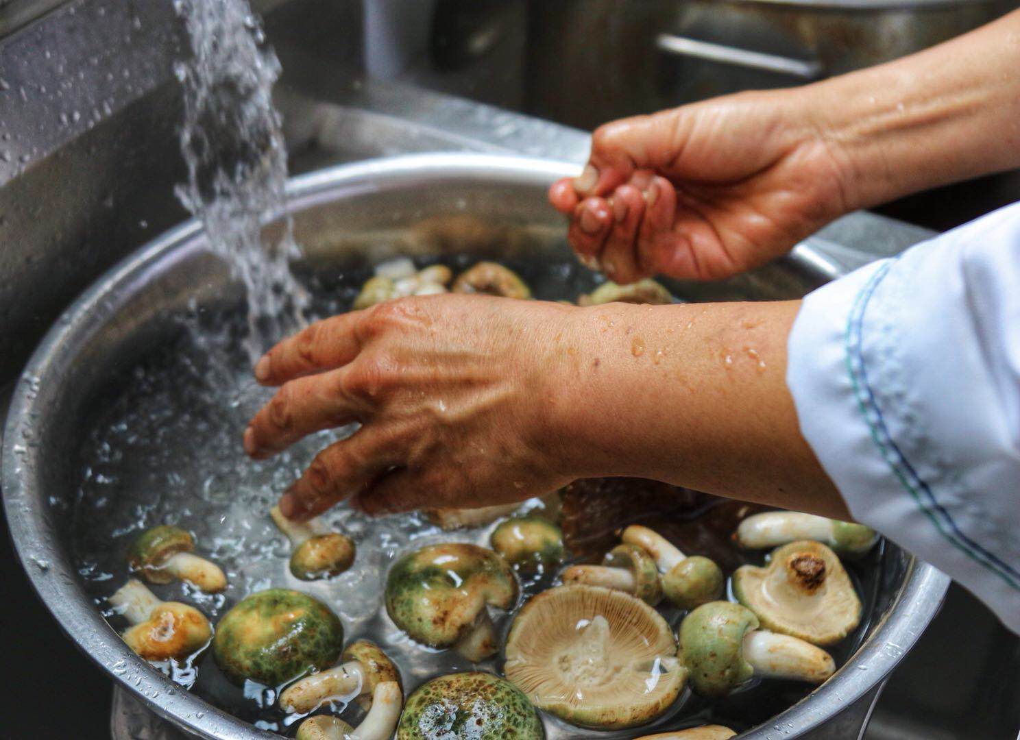 云南南华野生菌火锅,南华美食野生菌