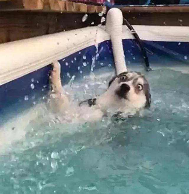 水乳套盒还是分开买,水乳买一套还是混搭好