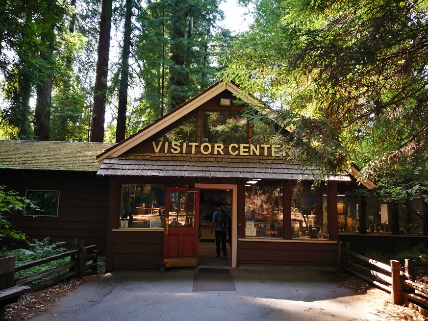 原始森林房车游记,红杉林房车自驾游